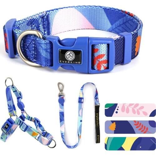 Personalized pet collar Adjustable dog collar and leash set pet products for dog stuff for small dogs harness leash collar combo