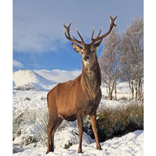 5D DIY Diamond Painting Square Round Diamond Animal Picture Fawn Picture Cross Stitch Mosaic Embroidery Home Decoration WG2779