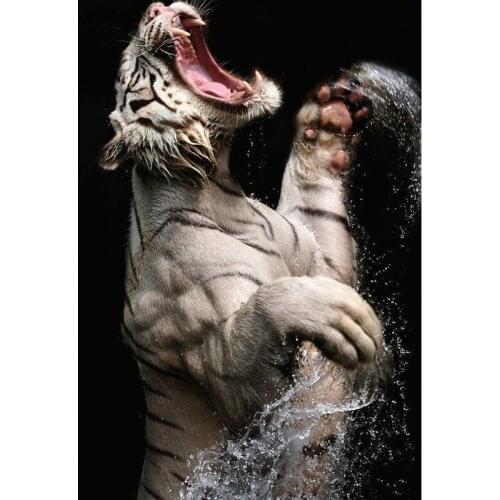 5D round Diamond Mosaic picture animal tiger Diamond Painting Cross Stitch kit Home Decor Diamond Embroidery home decoration