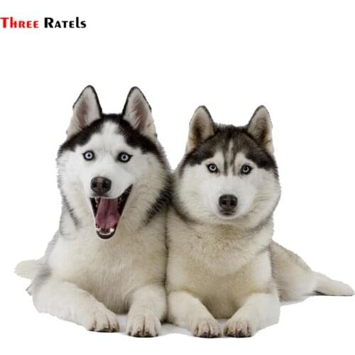Three Ratels TRL532# 14x10.5cm Two huskies dogs funny car stickers sticker and decals