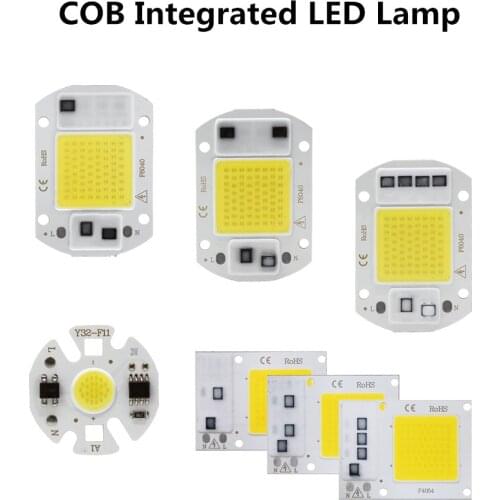 White / Warm White 3W 5W 7W 9W 10W 20W 30W 50W LED light Chip AC 220V COB Integrated LED lamp Chip DIY Floodlight Spotlight Bulb