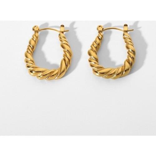 Trendy Statement Steel Hoop Earrings For Women Golden Twist Circle Croissant Earrings Jewelry Gifts