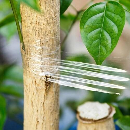 Self-adhesive Garden Fruit Tree Belt Grafting Tape Transparent Stretch Film