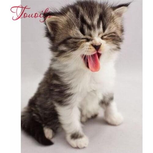 Diamond Goedemorgen Needlework Diy Diamond Painting Cross Stitch 5D Diamond Embroidery Mosaic Crafts Dog Pomeranian