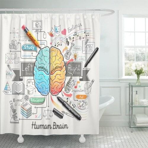 Education Brain Diagram Doodles Psychology Creative Medical Idea Shower Curtains Waterproof Polyester Fabric 60 x 72