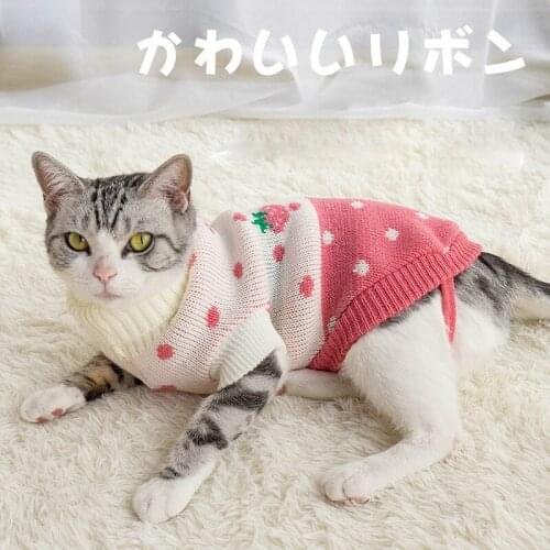 Dog Cat Winter Clothes Knitted Pet Sweater For Small Dogs Puppy Cat Vest Shirts Clothing For Dogs Fashion Sex Clothes Ropa Perro