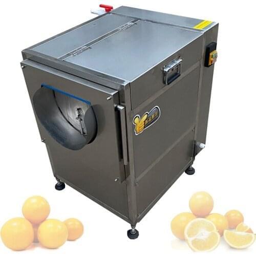 Multi-Function Vegetable Peeler Potato Washing Fruit And Vegetable Peeling Machine