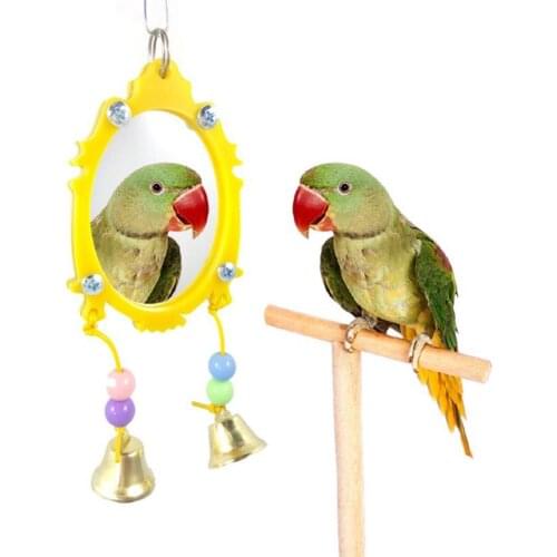 LanLan Check Accessories