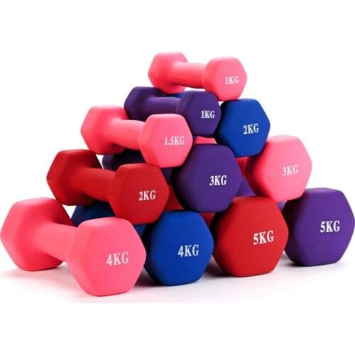 1/2/3/4/5KG Women Dumbbell Fitness Yoga Slim Arm Children Universal