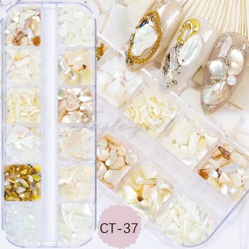 12 Grids/Set Irregular Nails Abalone Natural Sea Shell Stone Fragment Polish Crystal Jewelry DIY Manicure Nail Art Decorations