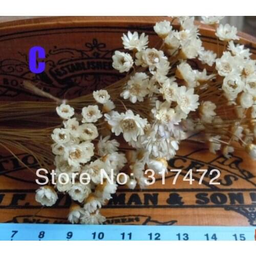 Freeshipping! 0.4-1cm white dry flower stuff fit glass vials glass bottle glass dome glass bubble