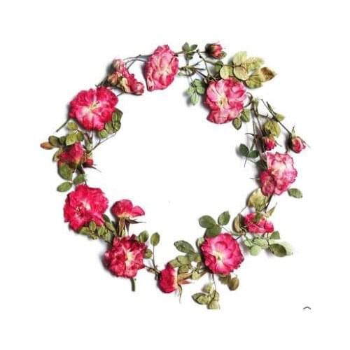 5-10pcs/lot Red Rose Petal Pressed Flowers Small Dried Flowers for Diy bookmark Soap Candle Making