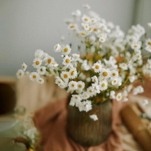 Pastoral Style Natural Dried Flower Decoration Mini Daisy Flowers Gerbera Hybrida Wedding Office Home Decor Supplies Photo Props