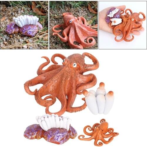 Life Cycle of a Octopus，Nature Insects Life Cycles Growth Model Game Prop，Simulation Insect Animal Natural Education Toy