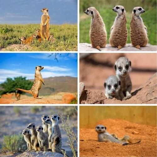 GATYZTORY Frameless Animals DIY Painting By Numbers Hand Painted Oil Painting Modern Wall Art Unique Gift For Home Decor