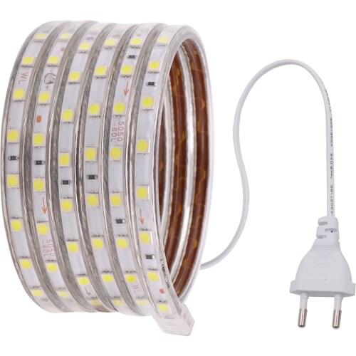 AC220V LED Strip Flexible Light SMD 5050 60leds/m Waterproof Led Tape LED Light With Power Plug White/Warm White/Blue Luces Led