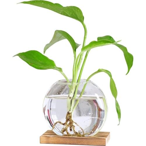 Glass Vase Glass Ball Vase Clear Terrarium