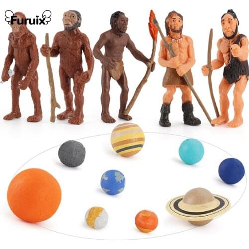 Childrens Science and Education Cognitive Toys Solar Galaxy Universe Planet Model Toy Ape-man Evolutionary History Model Toy