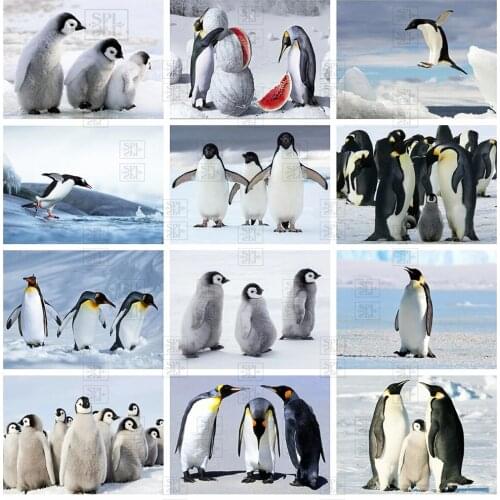 5D Diy Full Square Round Animals Diamond Embroidery Mosaic Penguin Cross Stitch Kit Handmade Gift Rhinestone Home Wall Decor