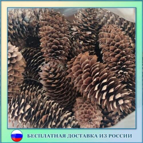 Орешка Products For The Holiday