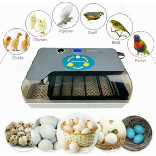 Egg Incubator Digital Fully Automatic 12 Eggs Poultry Hatcher for Chickens Ducks E2S