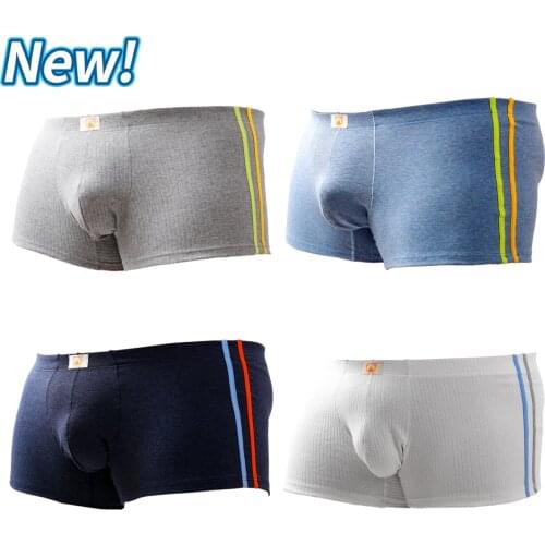 2021 New Arrivals 4PCS/LOT Bear Claw Mens Plus Size Boxers Bear Paw Underwear For Gay Bear 4 Colors Free Shipping M L XL XXL
