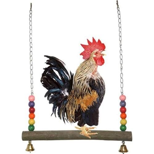 Peitten Bird Swing