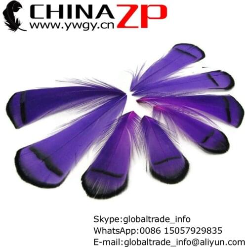 Made in CHINAZP Factory 100pcs/lot Top Quality Dyed Purple Lady Amherst Pheasant Tippet Feather