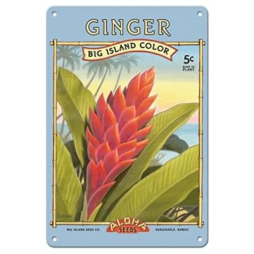 Ginger - Aloha Seeds - Big Island Seed Company - Big Island Color - Seed Packet by Kerne Erickson Metal Tin Sign