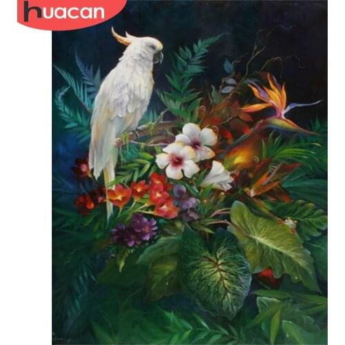 HUACAN Oil Painting By Numbers Parrot Animal Wall Art DIY Frame Acrylic On Canvas Picture By Numbers Flower For Living Room
