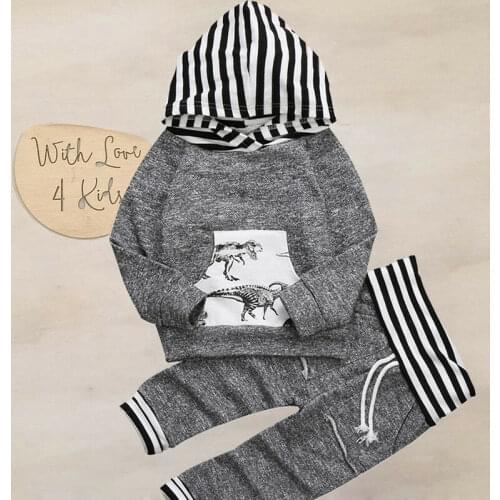 Newborn Infant Baby Boy Dinosaur Print Clothes Hoodies Sweatshirt Tops Long Pants Outfit Autumn Spring Kids Boys Cotton Set