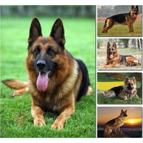 Full Square Round Diy Diamond Painting German Shepherd Cross Stitch Embroidery Dog Mosaic Needlework Crafts Wall StickersZP-3897