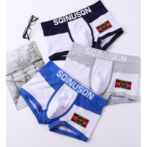 4Pcs Underwear Men Boxer Mens Panties Men Underwear Boxer Shorts Boxershorts Long Underpants Natural Cotton High Quality 2021