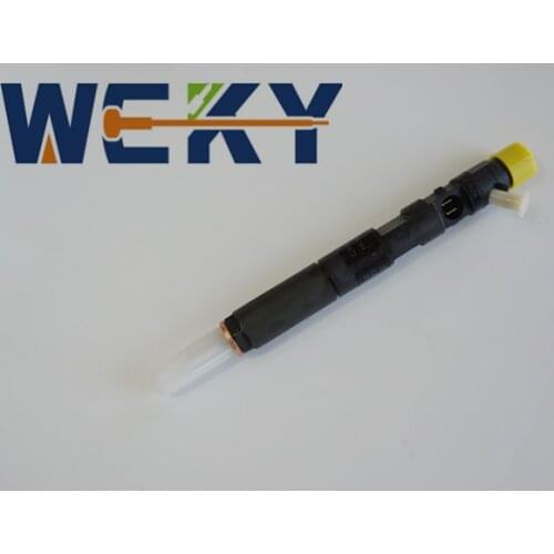 Promotion! High Quality EJBR04001D EJBR01801Z 28232248 Common Rail Injector Diesel Fuel Injector Half A YEAR WARRANTY