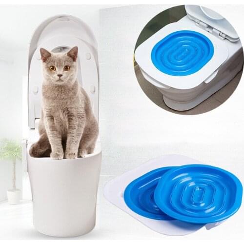 Аксессуары для кошек OLOEY China At AliExpress