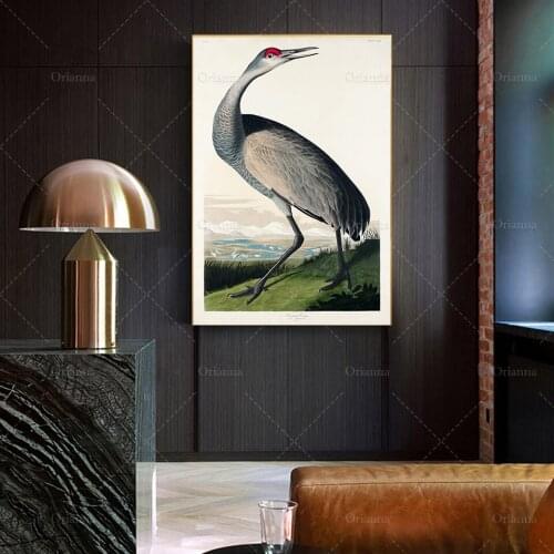 Hooping Crane from Birds of America by John James Audubon,Bird Poster PrintVintage Bird Print- Wall art poster Canvas Painting