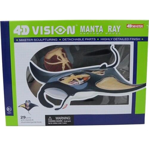 4d Animal Anatomical Model Manta Ray Anatomy Skeleton DIY Gift Children Toy Sea Fish Museum Used Tool Educational Model