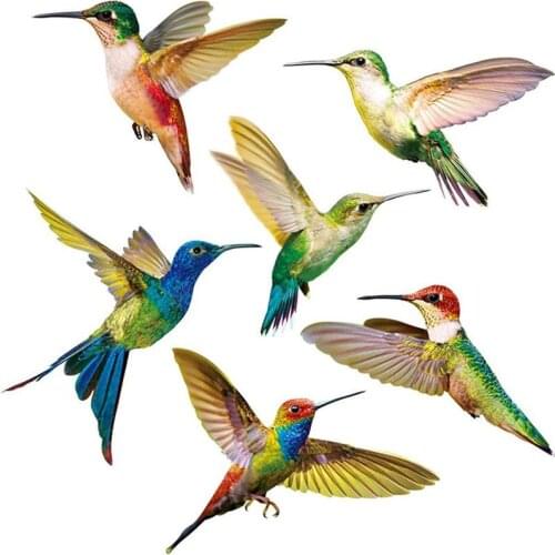 Beauty 6PCS Anti-Collision Window Clings Decals Hummingbird Window Stickers For Door Glass Use Home Decoration Accessories