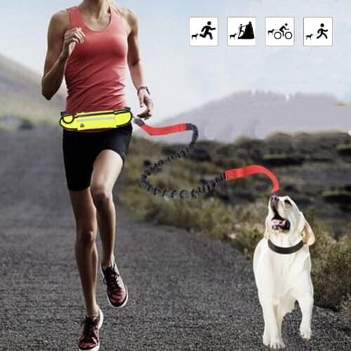 2021 new Pet Dog Running Belt Elastic Reflective Leash Traction Rope Hand Freely Pull Metal D-ring Leashe Adjustable Waist Rope