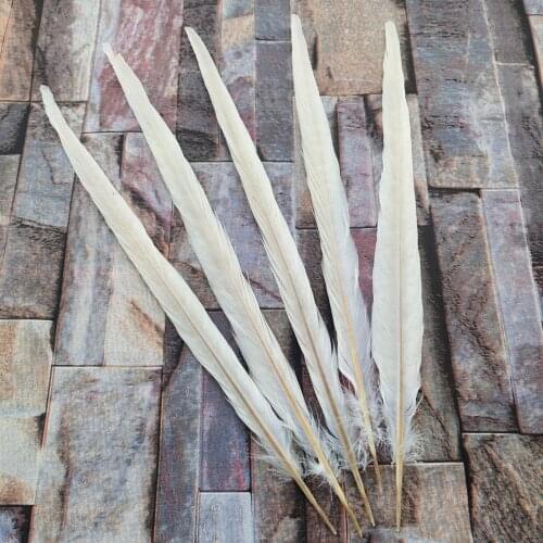 Wholesale 10 Pcs Beautiful 10-12inches/25-30cm Beige Natural Pheasants Feathers Craft Making Decoration Clothing Accessories