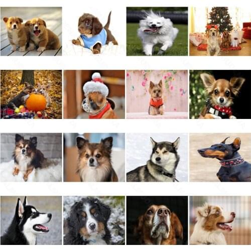 Diy Diamond Painting Animal Pomeranian Fashion Art Simple Handmade Diamond Round Diamond Square Diamond