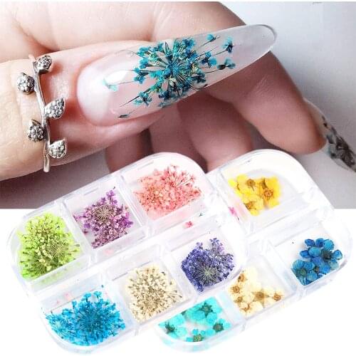 24Pcs/Box Mixed 3D Dry Flowers Stickers Real Dried Flower Nail Art Decoration Tips DIY Manicure Tools UV Gel Polish Manicure