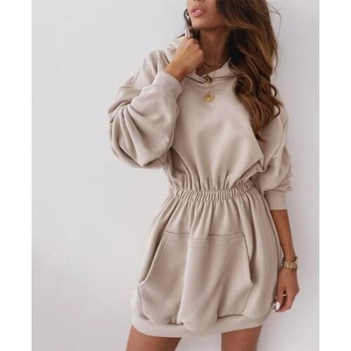 Women Autumn Winter Hoodies Dress Casua Elastic Waist Long Sleeve Pocket Hooded Pullover Dress 2020 Jumper New Sweatshirts Dress