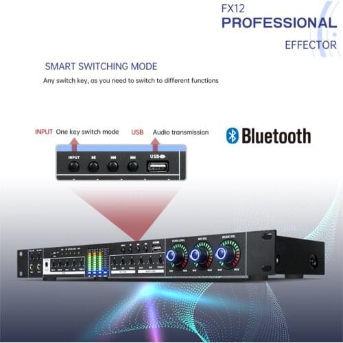 Paulkitson FX12 Karaoke Pre-Effects KTV Professional Digital Audio Echo Effect Processor DSP Audio Processor With Bluetooth USB