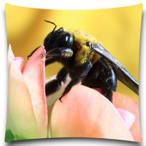 Cute Bee Insect Cotton polyester Pillow Case Sofa car Pad Home Decoration Cushion Cover 9 style 16 18 20 inches