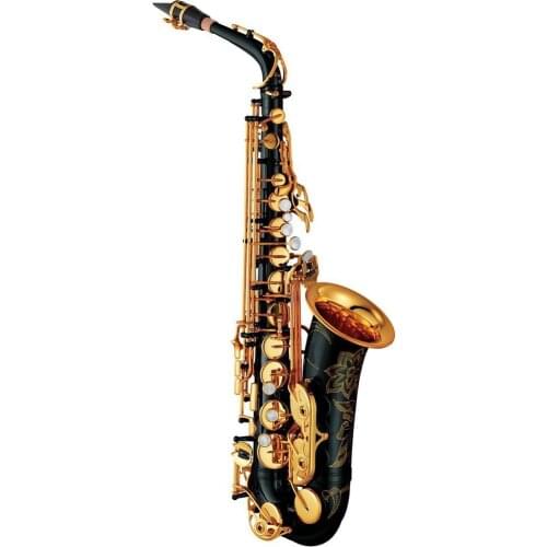 New De Xin Saxophone Alto 200DT Professional Alto Sax Custom Series High Saxophone Black Lacquer With Mouthpiece Reeds Neck Case