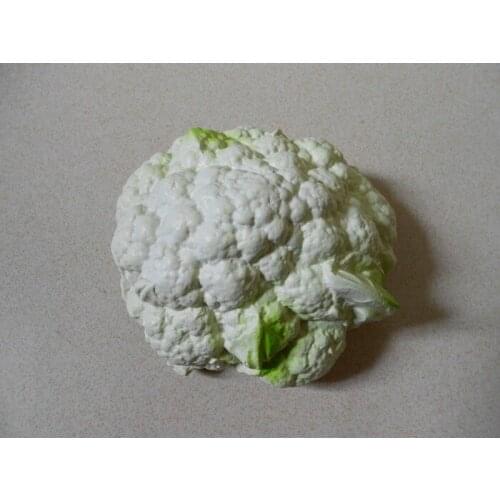 Plastic toy Food Plastic Cabbage Cauliflower Fruit Vegetables Toy Model Simulation Educational Kid Pretend Play House Kitchen