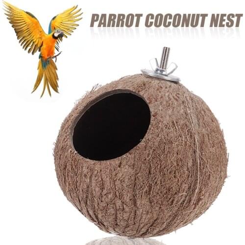 1PC 5 Inch Parrot Nest Hanging Natural Coconut Shell House Cage Feeder Parakeet Birds Squirrel Feeder Toys Pet Breed Decoration