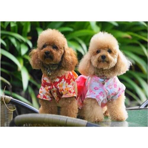5D DIY Embroidery beads Cute Poodle Full Diamond Painting Cross Stitch Small pets 3d Picture Rhinestone painting home Room Decor