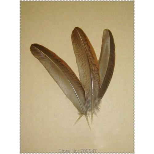 HOT!50Pcs/Lot!13-15cm Nature Golden Pheasant Wing Feathers for Earrings Hair Pieces Crafts,Pheasant Feathers